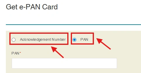 NSDL ePAN Download - Step 2 - Enter Details